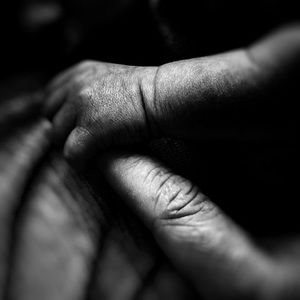 Meet your Posher, Gus